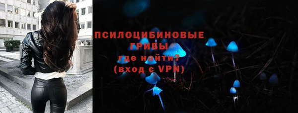 крисы Алзамай