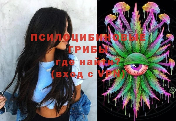 крисы Алзамай